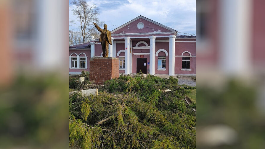 В Челябинской области срубили многолетние ели, чтобы перенести памятник Ленину
