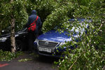 Поваленные ураганом деревья в Москве