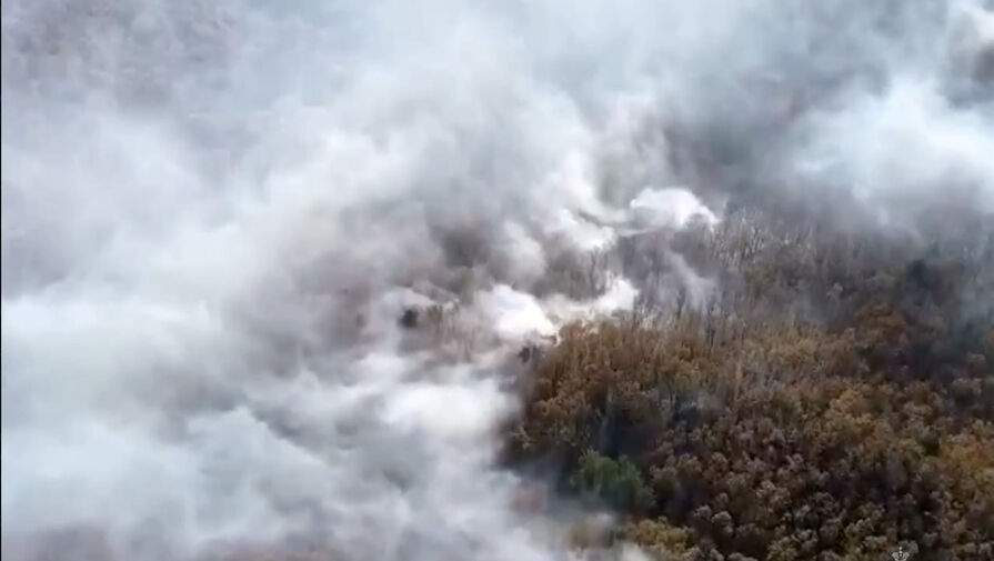 В Краснодарском крае пожар охватил более 10 гектаров лесничества