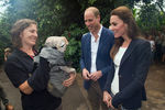 Принц Уильям и Кэтрин, герцогиня Кембриджская (Кейт Миддлтон), посетили ботанический сад Eden Project в графстве Корнуолл. Герцог и герцогиня попробовали смузи из плодов баобаба, а сотрудники сада показали им куклу детеныша муттабурразавра.
