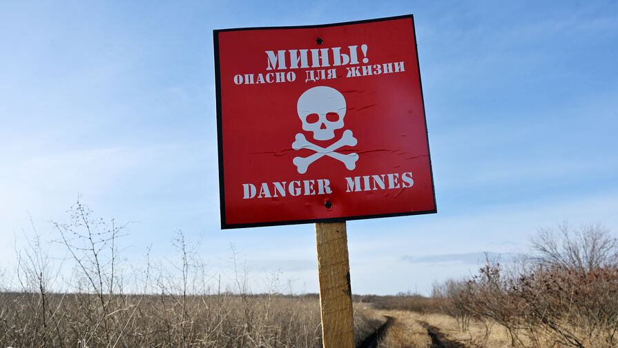 Житель Белгородской области погиб при попытке разобрать противопехотную мину