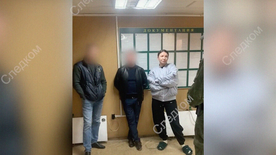 СК опубликовал видео задержания Елены Блиновской на границе России и Белоруссии