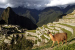Мачу-Пикчу в переводе с индейского языка кечуа означает «старая вершина»
