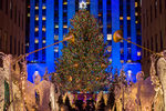Главная рождественская елка США у здания Рокфеллер-центра на Манхэттене в Нью-Йорке, 30 ноября 2017 года
