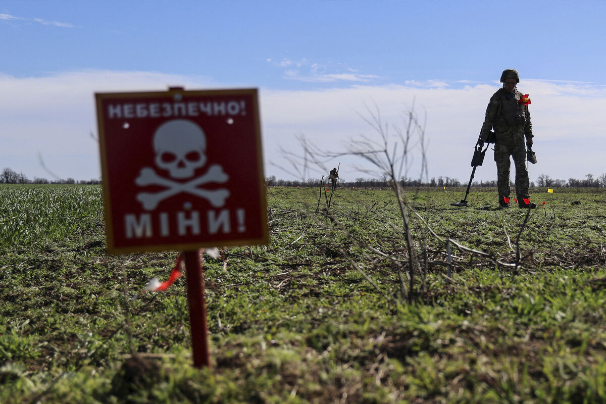 Машины разминирования НАТО сами подрывались на минах в зоне СВО - Газета.Ru  | Новости