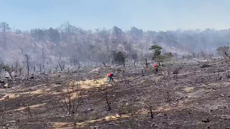 Лесной пожар у хутора Дюрсо удалось локализовать