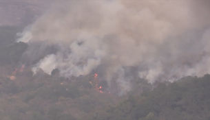 Последствия лесных пожаров в Калифорнии попали на видео