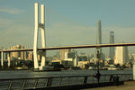 Часть символов Шанхая — вантовый мост Нанпу, Шанхайская башня и Шанхайский всемирный финансовый центр (он же — «открывашка»)