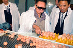 Архивная фотография Ким Чен Ира, опубликованная Центральным новостным агентством Северной Кореи 26 декабря 2011 года