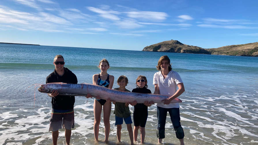 В Новой Зеландии на берег выбросило змееподобное существо, удивившее отдыхающих
