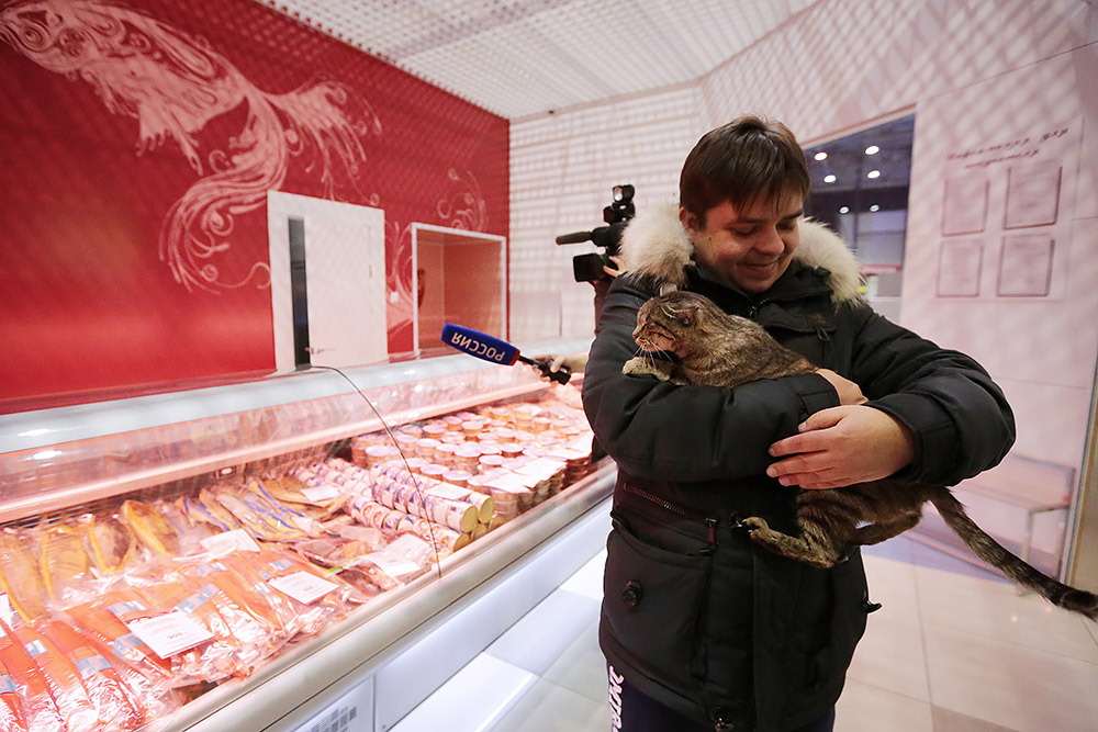 Кошка, объевшая рыбный магазин в аэропорту Владивостока на 60 тысяч рублей, стала талисманом хоккейного клуба «Адмирал» и получила имя Матроскин