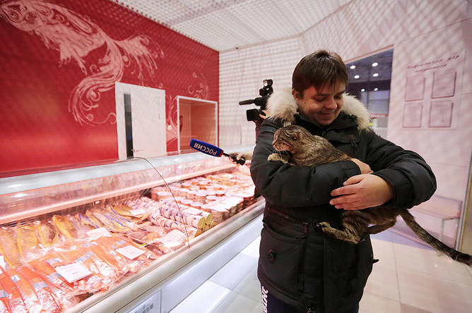 Кошка, объевшая рыбный магазин в аэропорту Владивостока на 60 тысяч рублей, стала талисманом хоккейного клуба «Адмирал» и получила имя Матроскин