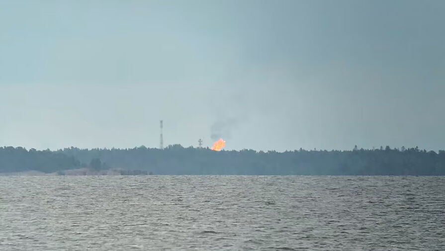 Экономист Кондратьев допустил, что Газпром сжигает газ на финской границе себе в убыток