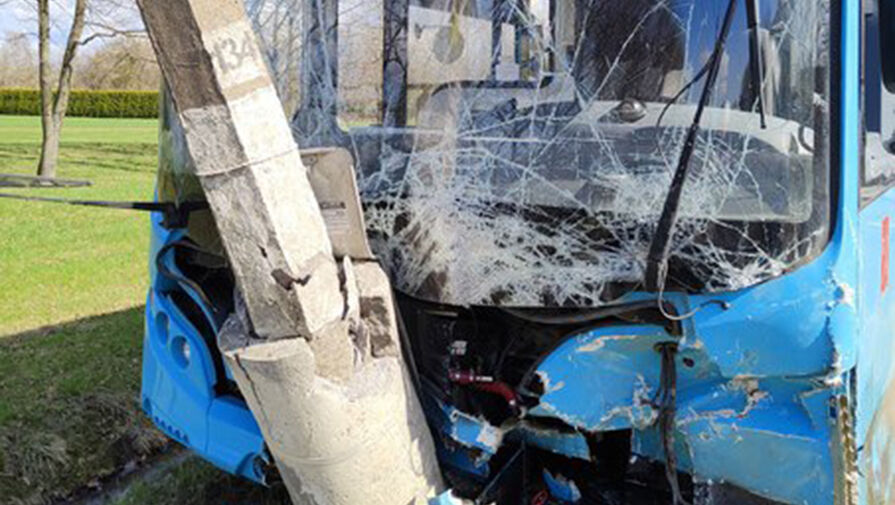 Очевидцы рассказали о смертельном ДТП в Петергофе с участием рейсового автобуса