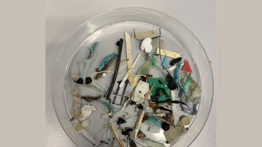 На Шпицбергене обнаружили пластиковый мусор из Бразилии и Китая