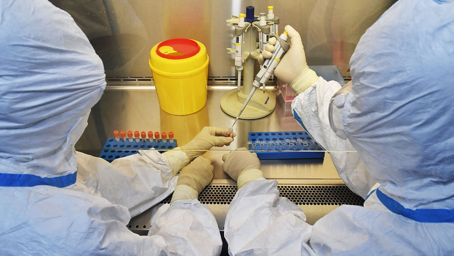 В ЛНР сообщили, что эксперты изучают вирусы в украинских лабораториях на ее территории