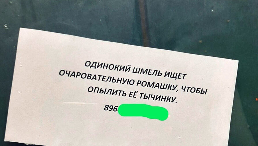 Неизвестный оставил объявление о поиске очаровательной ромашки в лифте дома в Москве