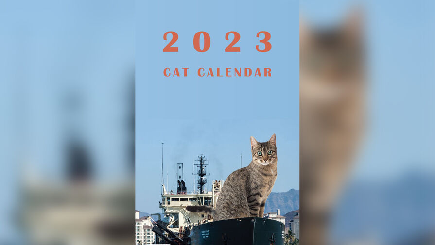 Американских военных раскритиковали за неудачный календарь с кошками