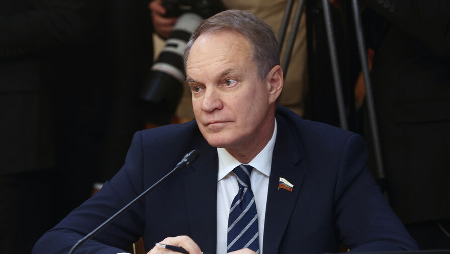 В Совфеде РФ поддержали идею о запрете деятельности МУС