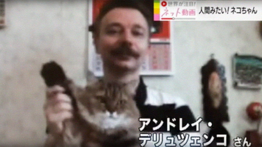 Кот Маркиз с&nbsp;хозяином в&nbsp;японской телепередаче, скриншот