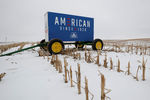Рекламный щит на заснеженном кукурузном поле близ Ньюбурга, США