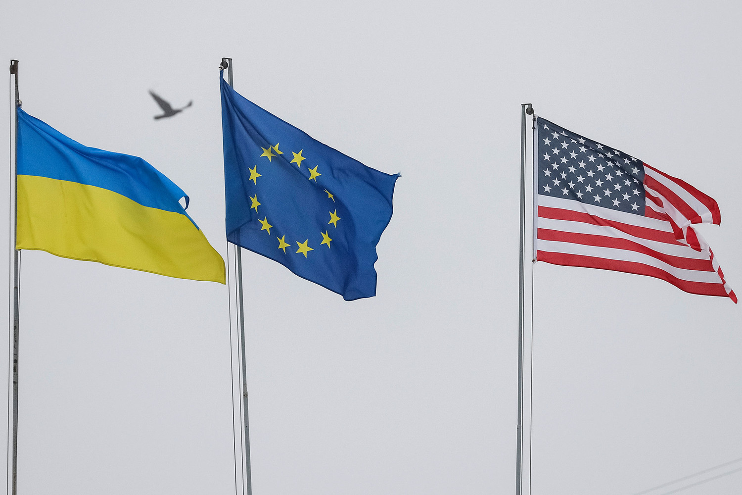 Киевский аналитик назвал цель Запада в отношении Украины