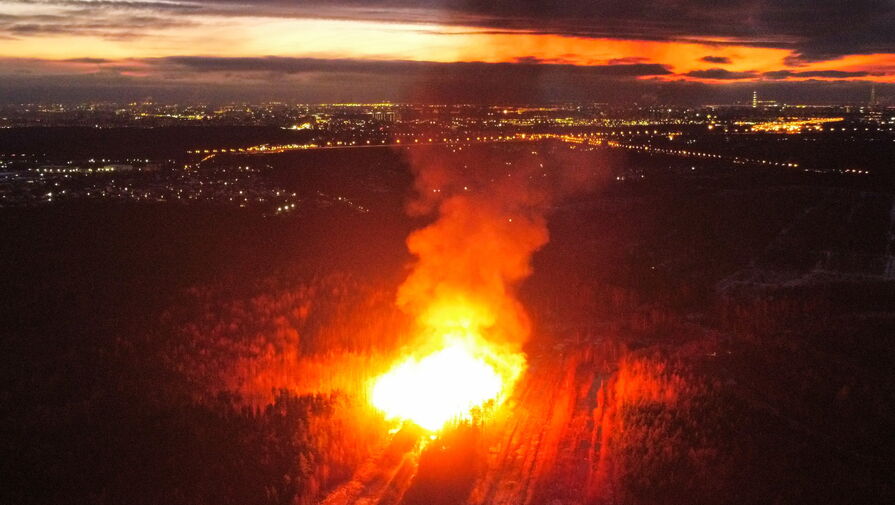 МЧС: открытое горение на газопроводе в Ленинградской области было ликвидировано