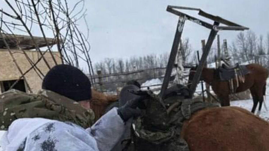 СМИ: российские военные оборудовали лошадь терминалом Starlink