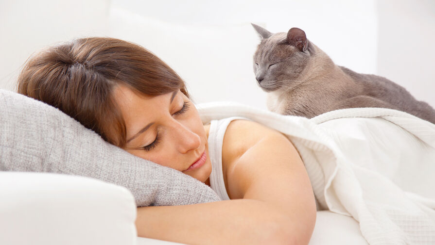 Стало известно, полезно ли спать с домашними животными