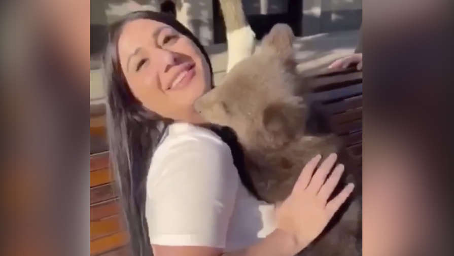 Девушка, укушенная медвежонком в Грозном, призвала запретить фотосессии с дикими животными