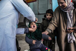 Медработник дает оральную вакцину от полиомиелита ребенку в Сринагаре, Кашмир, 3 марта 2024 года