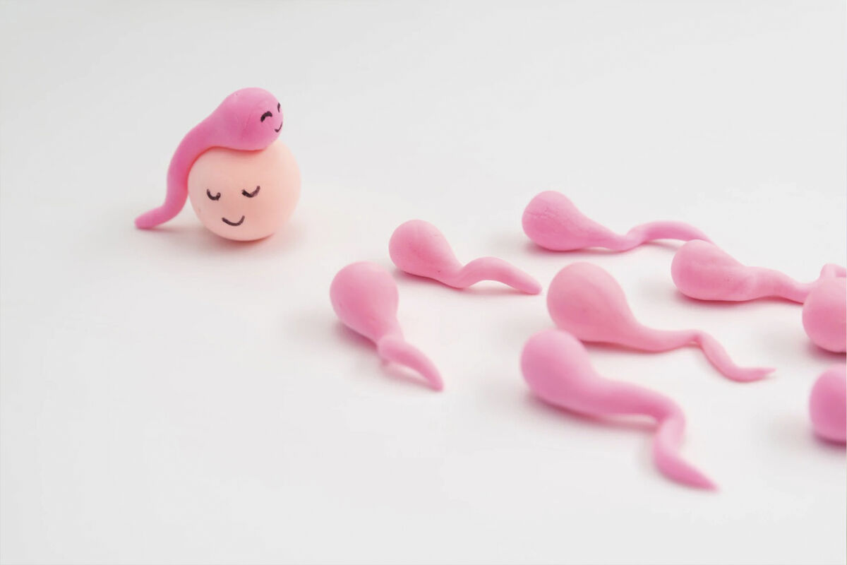 Польза спермы для женского организма – это миф»: интервью с андрологом -  Газета.Ru
