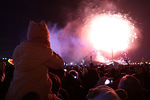 Во время праздничного салюта в честь Дня Победы на Поклонной горе в Москве