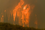 В США в Калифорнии пожарные пытаются справиться с мощным лесным пожаром, который угрожает трем небольшим городкам на севере штата.
