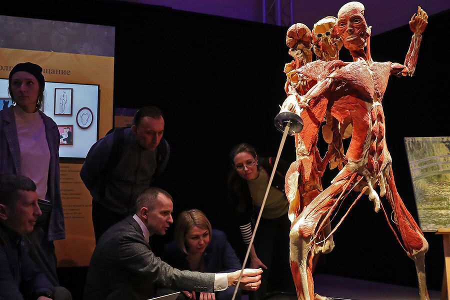Экспонаты анатомической выставки доктора Гюнтера фон Хагенса &laquo;Мир тела&raquo; (Body Worlds) на&nbsp;ВДНХ в&nbsp;Москве