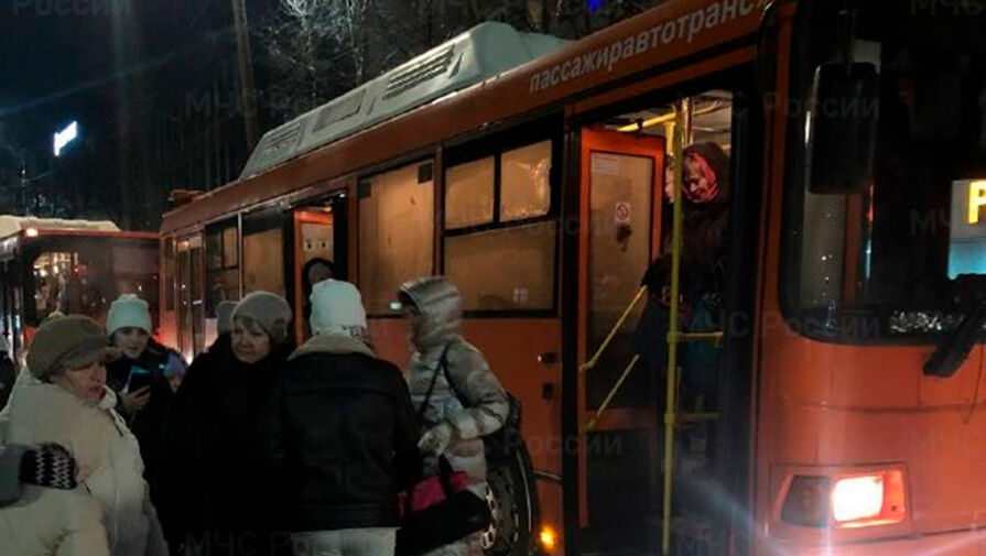 Автобус с туристами заглох под Арзамасом из-за замерзшего топлива