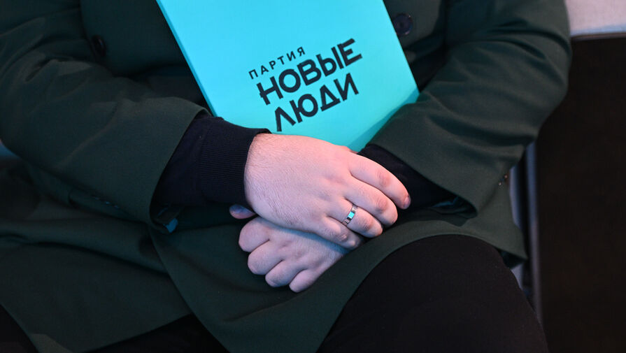 Новые люди ответили Володину, раскритиковавшему депутатов за отказ поддержать запрет чайлдфри