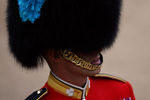 Гвардеец на церемонии парада выноса знамен в честь 90-летнего юбилея королевы Елизаветы II в Лондоне 