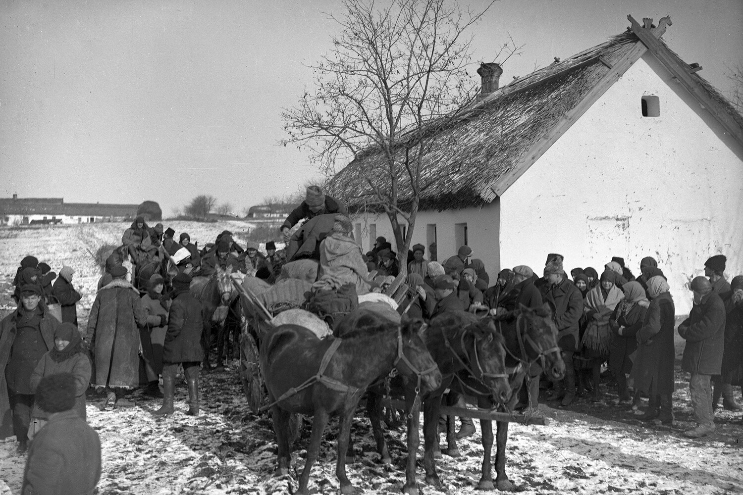 Свадьба, туалет в теплушке, золото и людоедство: живые истории сталинского «раскулачивания»