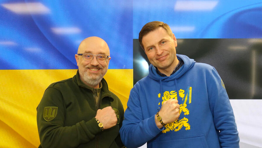 Эстония еще не передала Украине кассетные боеприпасы