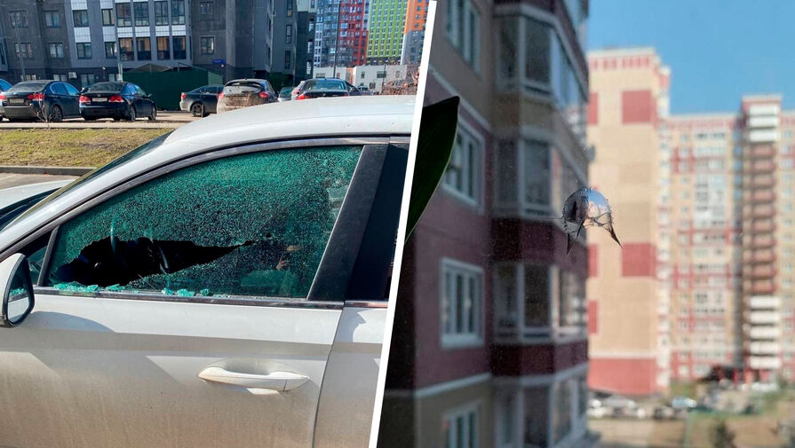 Жильцы дома в Дрожжино рассказали о нескольких случаях стрельбы по окнам и машинам во дворе