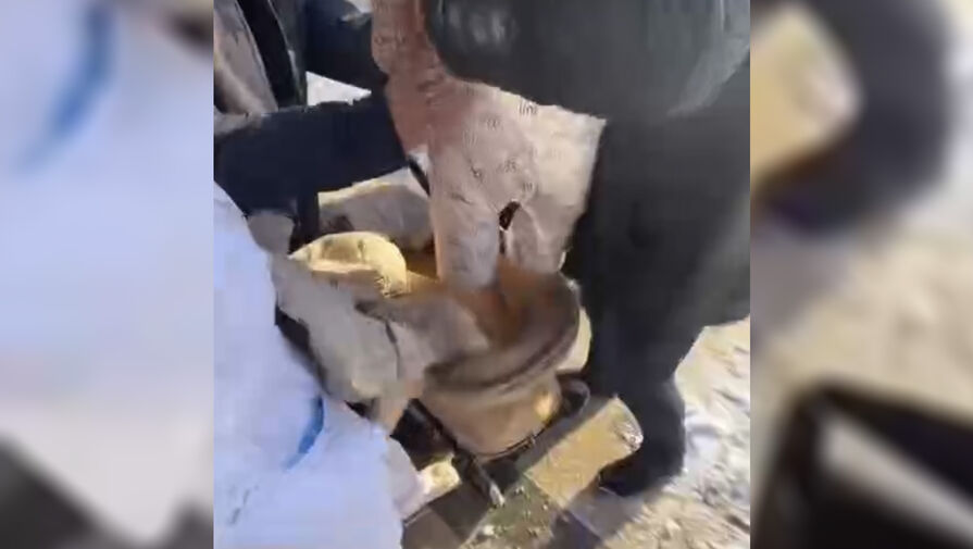 Прокуратура заинтересовалась видео с падением ледяной глыбы на коляску с ребенком