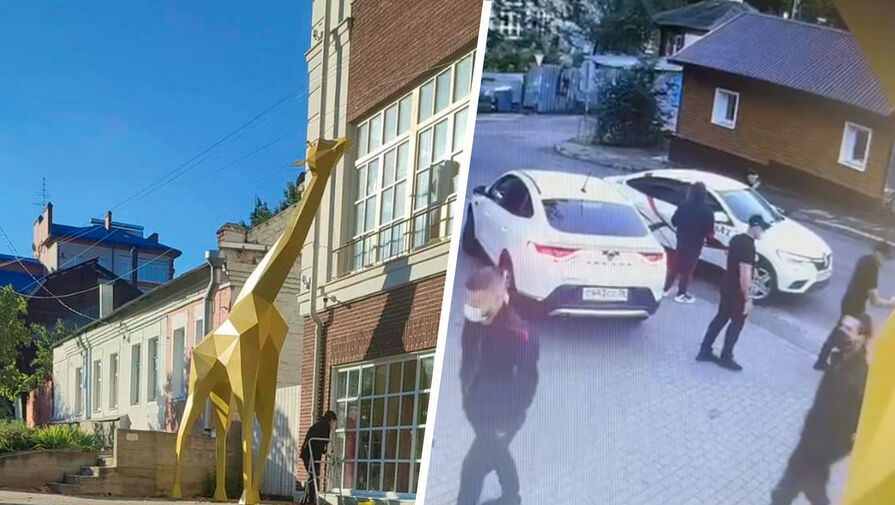 В центре Воронежа неизвестные в масках спилили пятиметрового жирафа