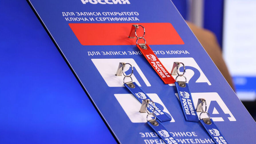 Единая Россия дала старт электронному предварительному голосованию
