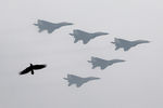 Самолеты МиГ-29 во время военного парада в честь Дня республики в Нью-Дели