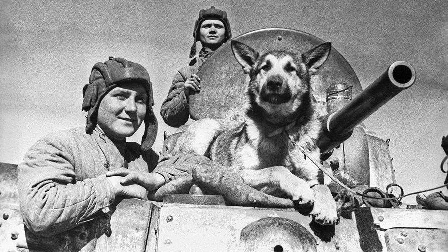 Экипаж советского бронеавтомобиля БА-10 на Южном фронте: старший сержант Эндрексон, сержант Поршаков, Деренко и овчарка Джульбарс, 1942 год
