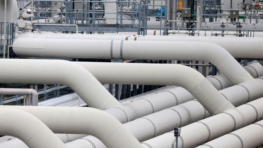 В Германии разъяснили позицию об оплате российского газа