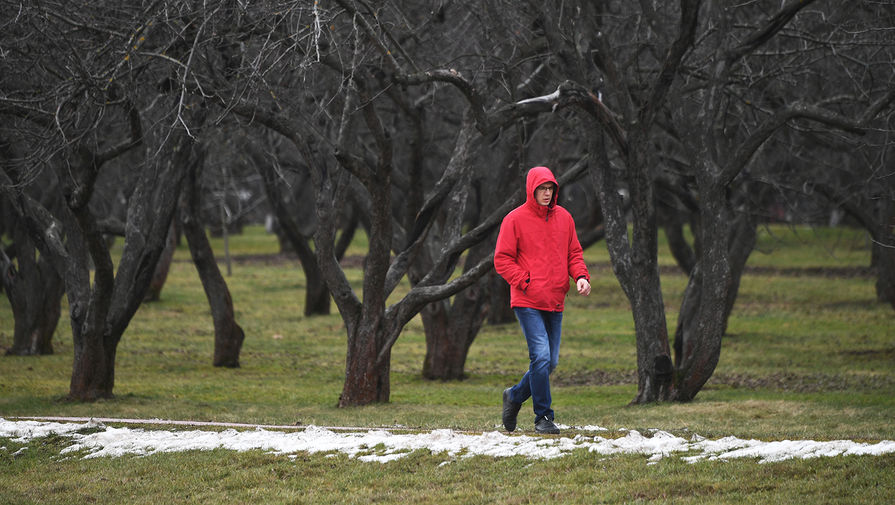 Синоптик предсказала апрельскую погоду в феврале на следующей неделе в Москве