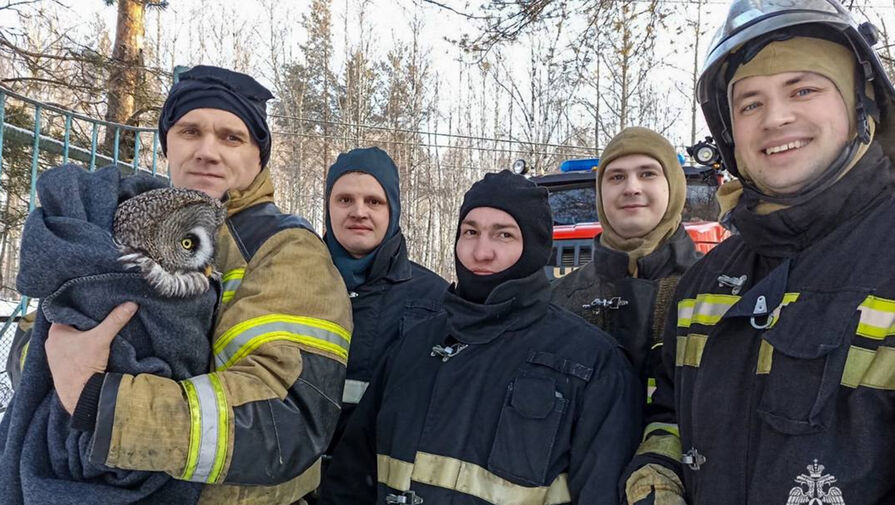 В Пермском крае пожарные спасли сову во время учений