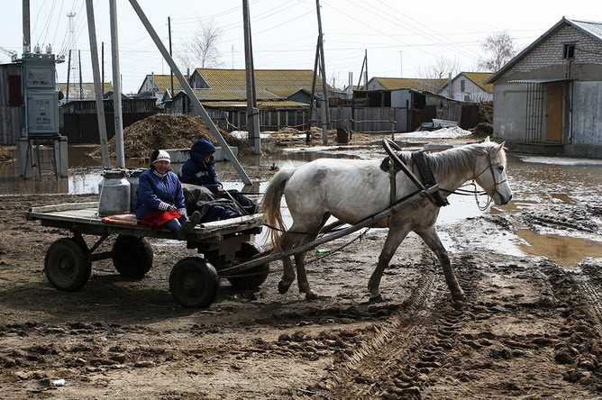 По старой российской традиции телегу у нас нередко ставят впереди лошади 